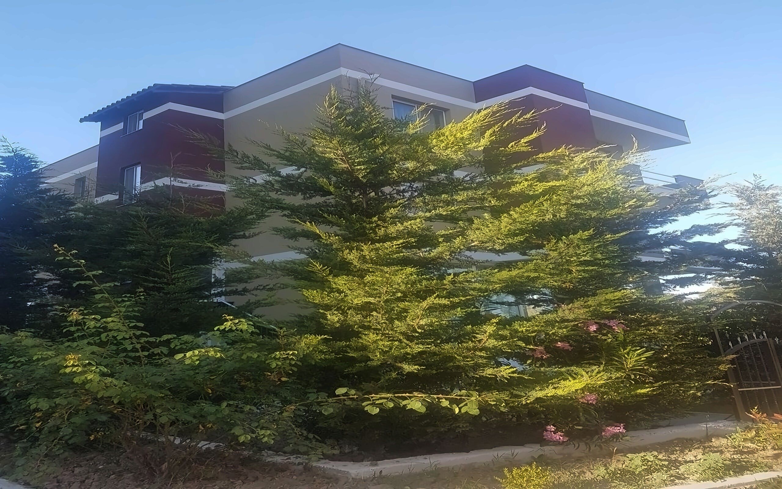 Изображение Mali I Robit Vila 3*