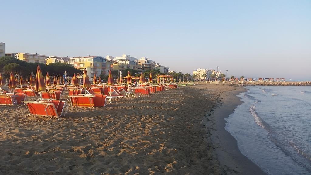 Территория Hotel Royal Park 3*