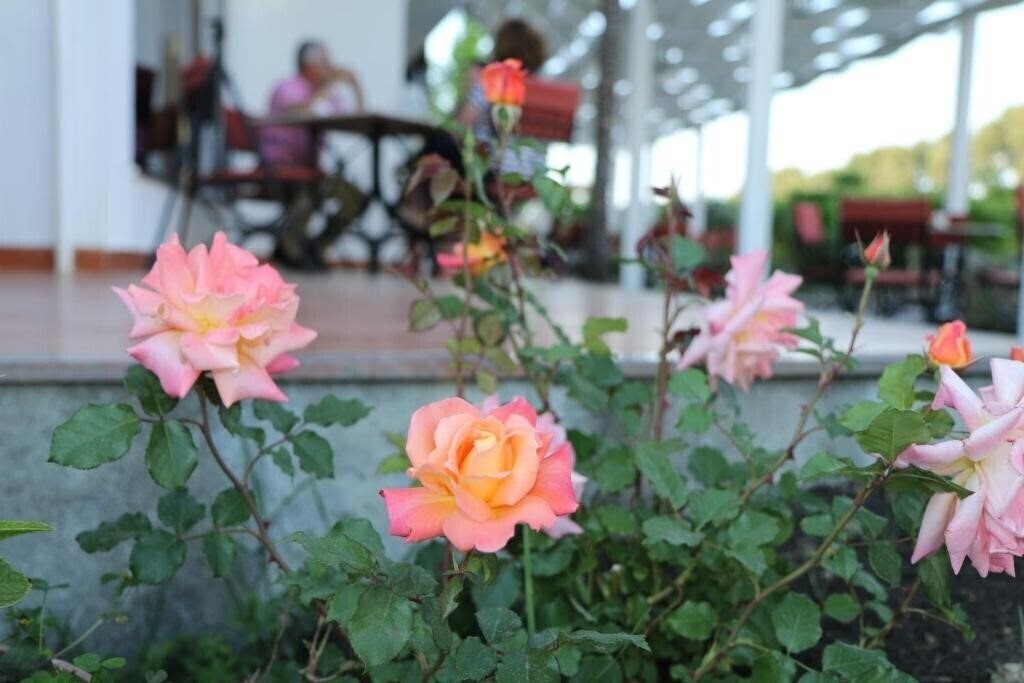 Панорама President Hotel 3*