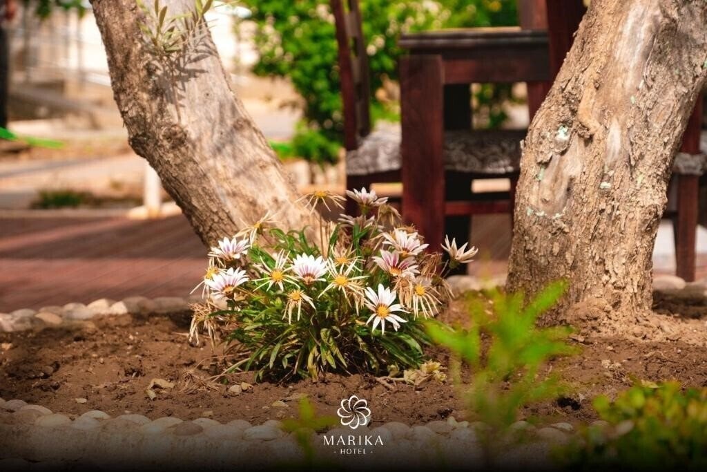 Фотография Marika 3*