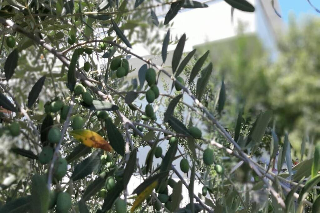 Територія Villa Garden 3*