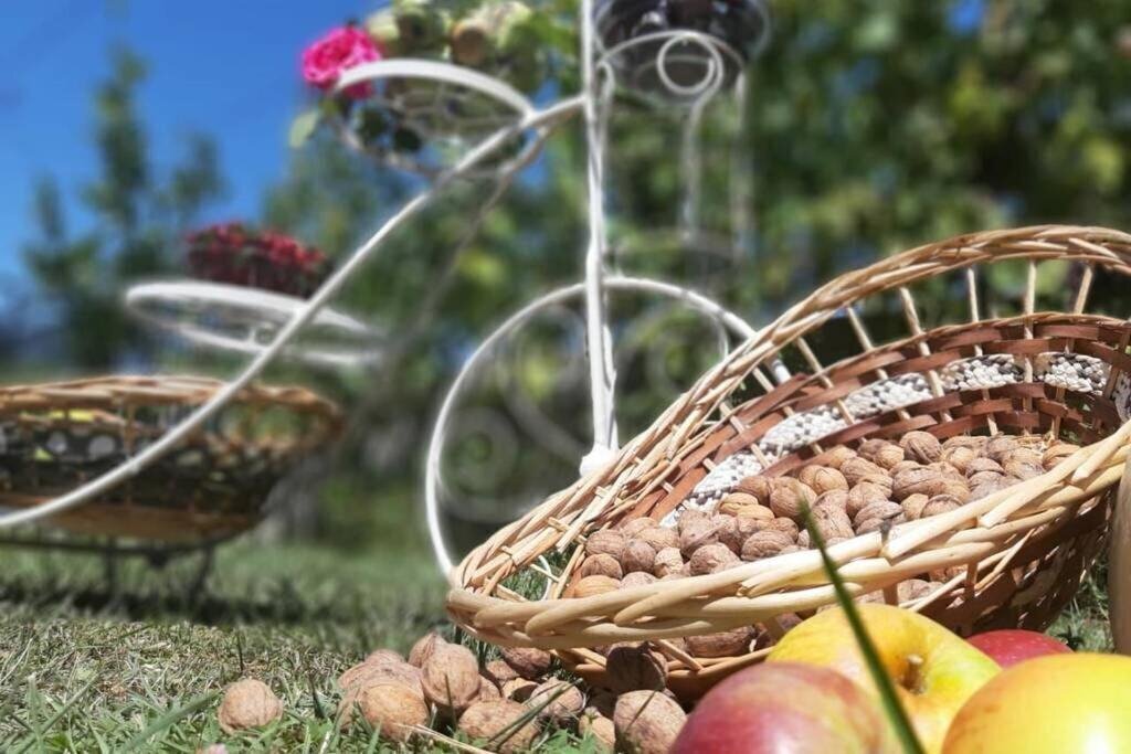 Апартаменти Villa Garden 3*