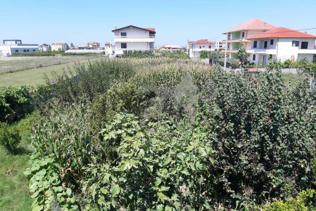 Панорама Villa Garden 3*