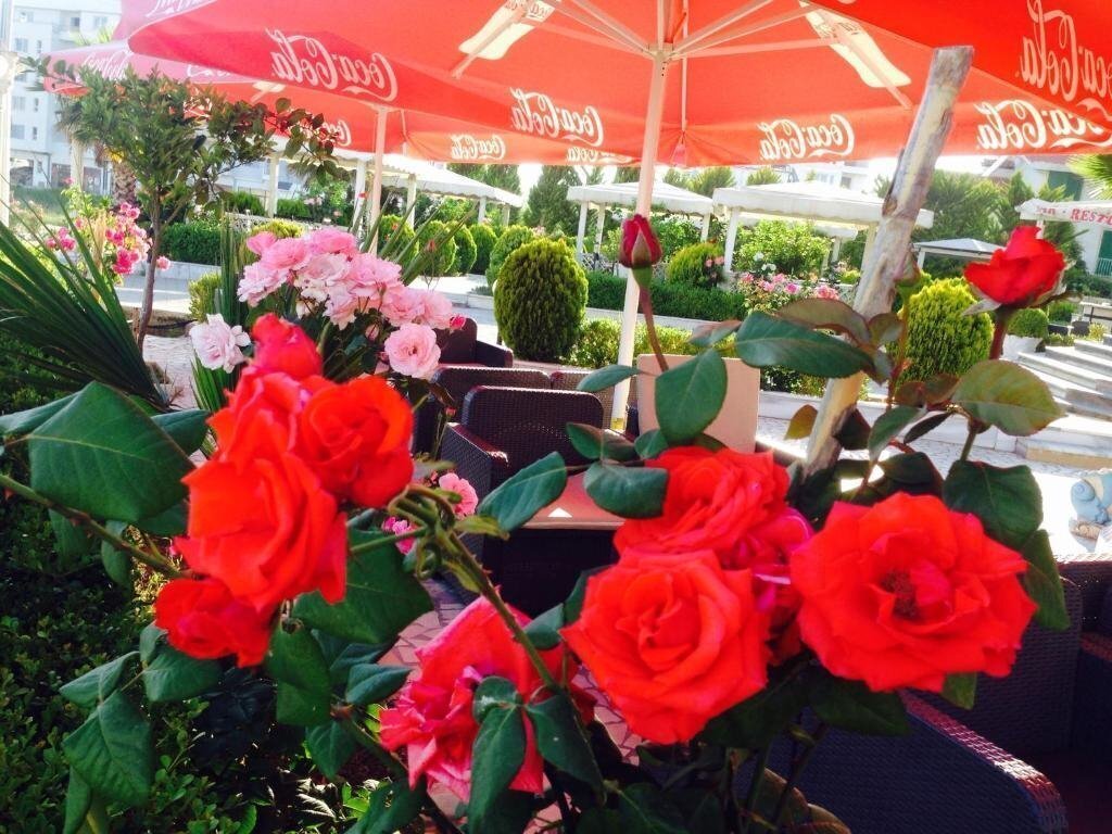 Территория Fari Hotel 3*