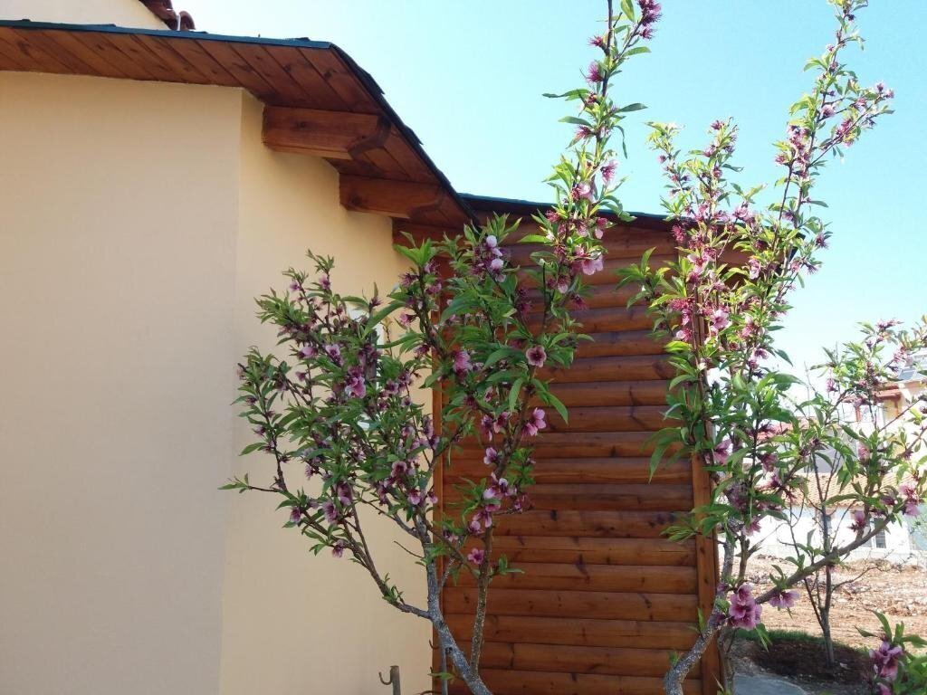 Апартаменты Apartments Jay апартаменты