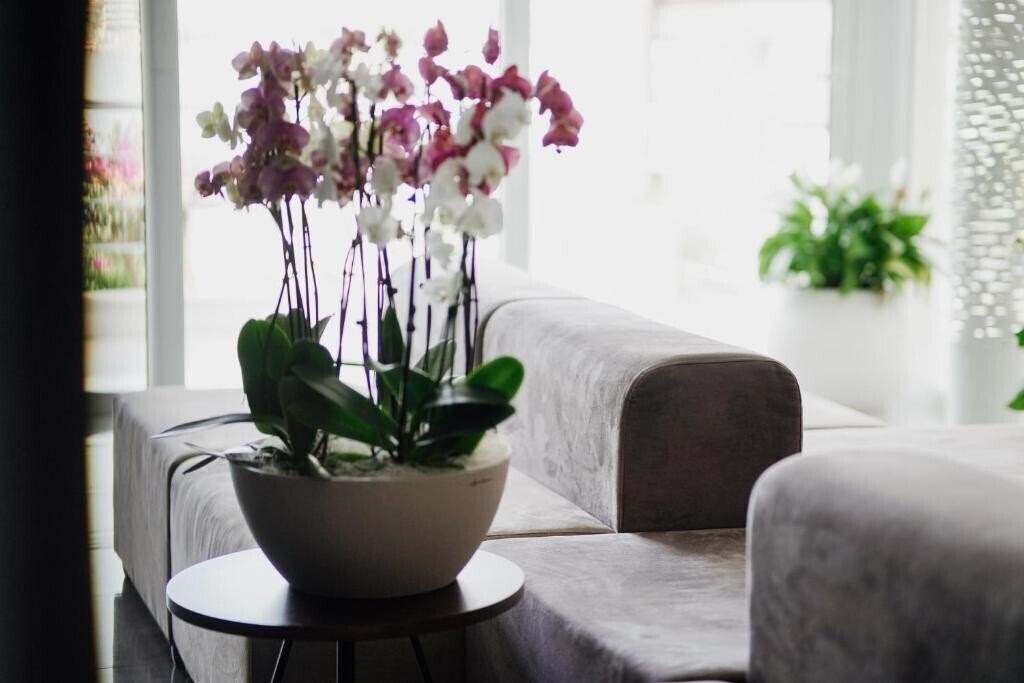 Апартаменти Agimi & S (ex. Agimi&S, Hotel Agimi Saranda) 4*