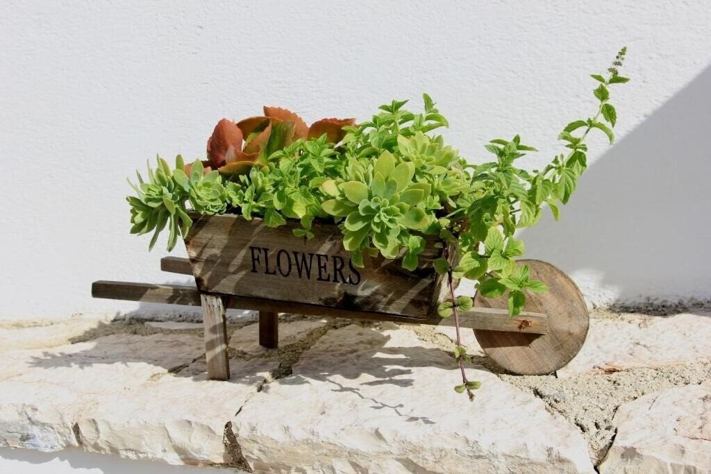 Апартаменти Villa White 3*