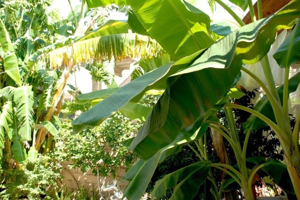 Апартаменты Villa Mucho 3*