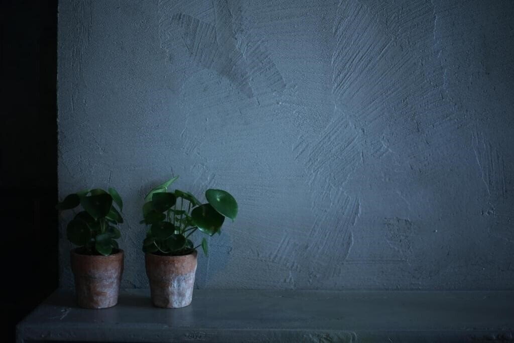 Панорама In Gallery Hotel & SPA 4*