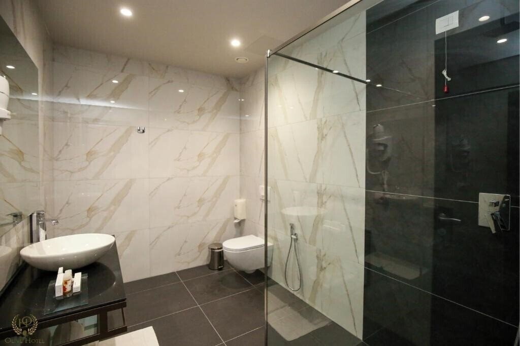 Картинка Hotel Olive 3*