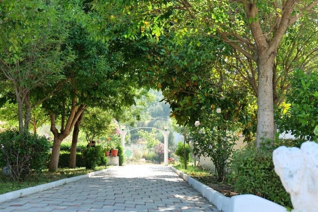 Картинка Edva 3*