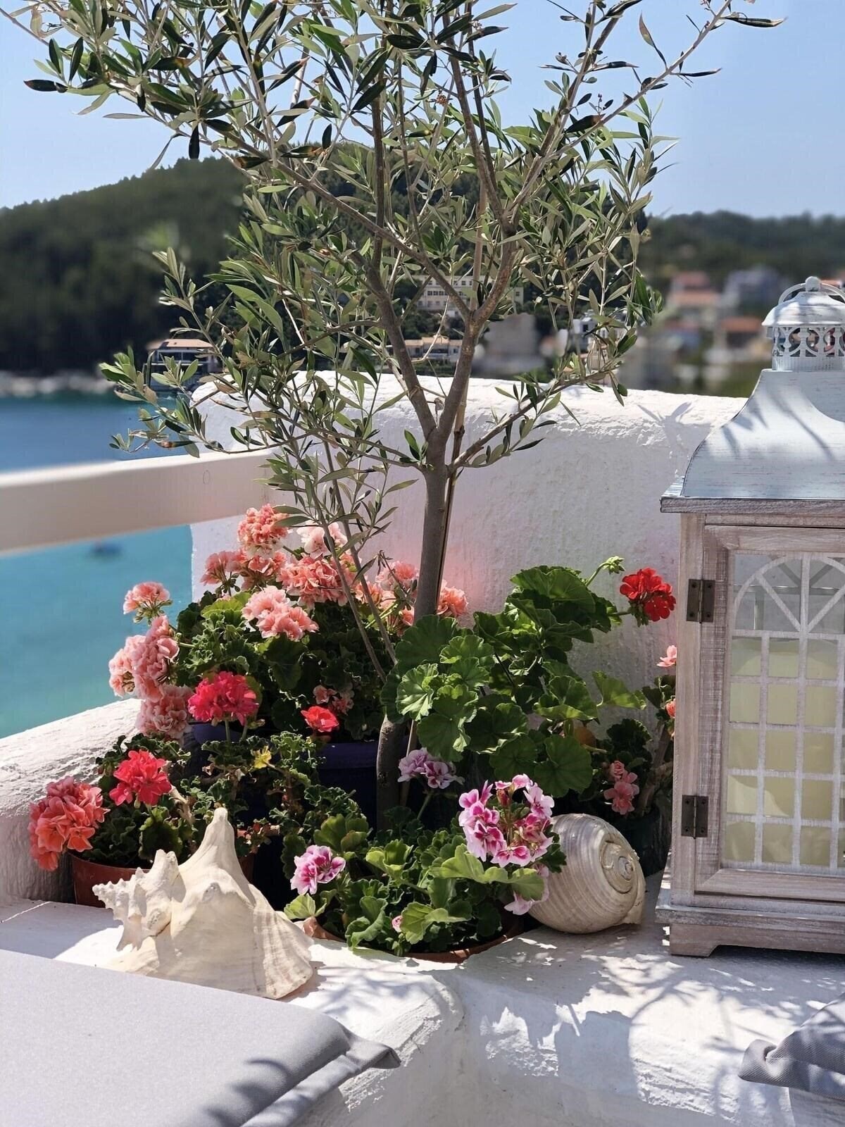 Апартаменты Geo & Art Boutique Hotel 3*