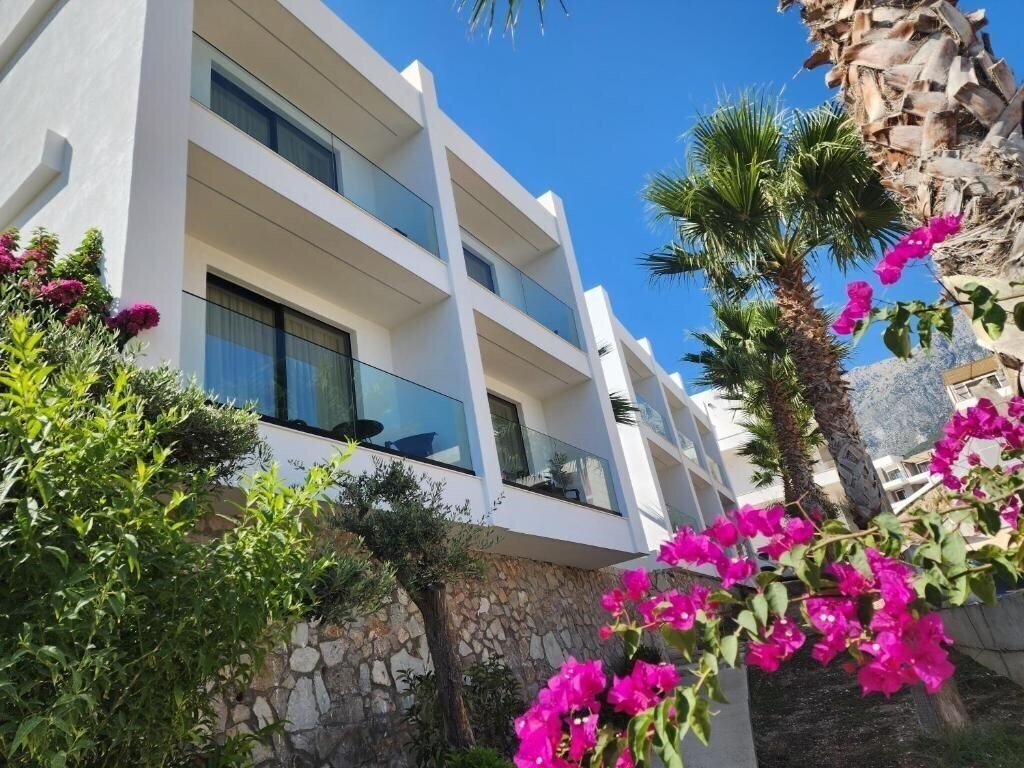 Фото Summer Dream 3*