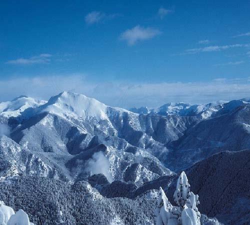 Картинка Florida 3*