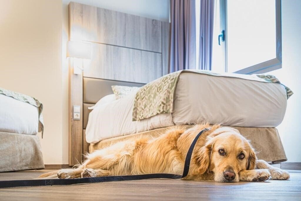 Панорама Princesa Parc 4*