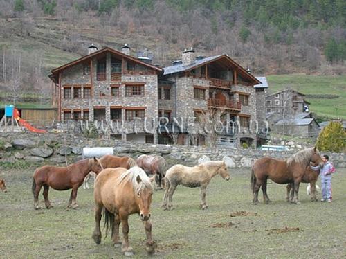 Фотография Aparthotel Fijat 3*