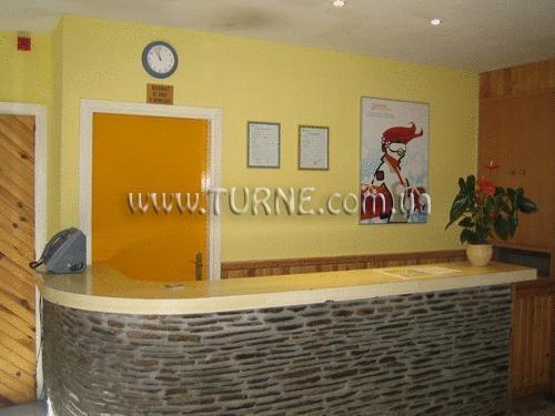 Картинка Chat Catsby 2*