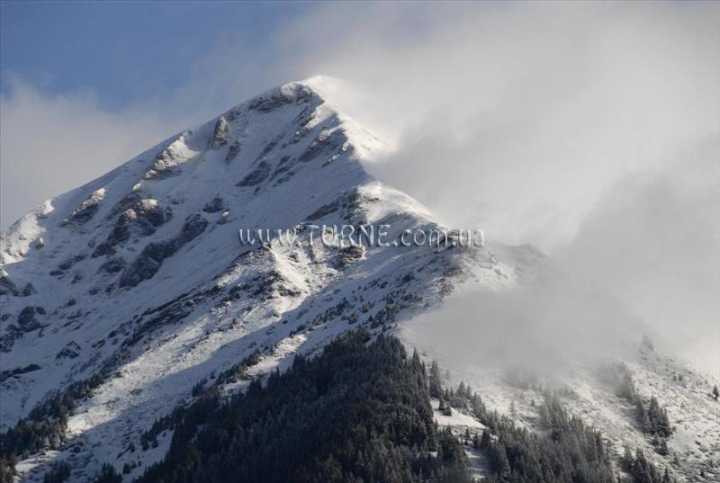 Отель Pension Nefer 3*