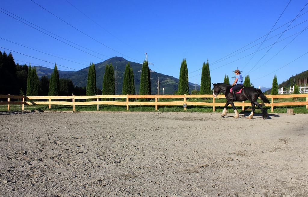 Изображение Schmittenhof 4*