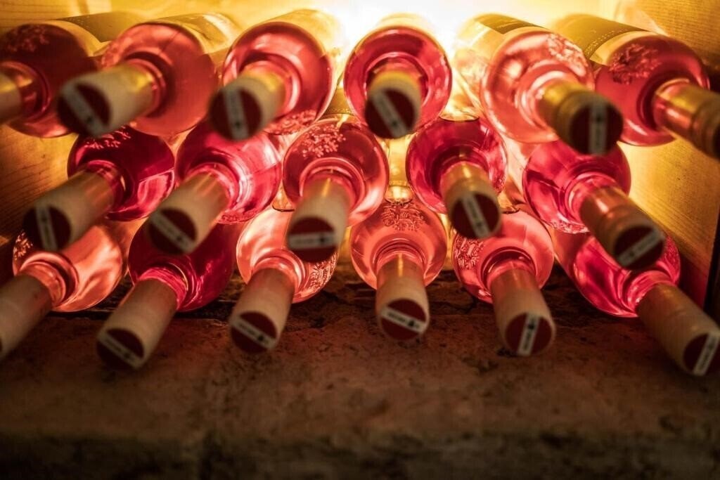 Територія Hotel St. Georg 4*