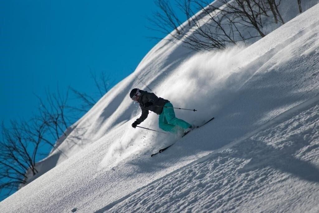 Апартаменти Fluchthorn 4*