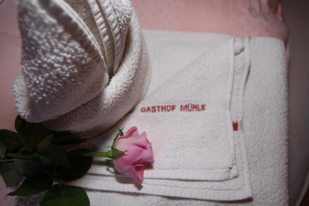 Панорама Gasthof Zur Muhle 4*