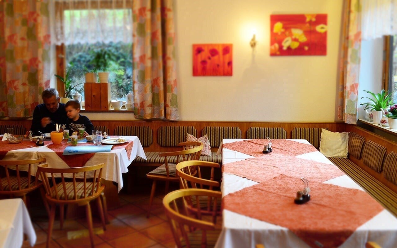 Картинка Pension Austria 3*