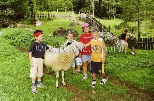 Вид Alpina Hotel und Appartments 3*