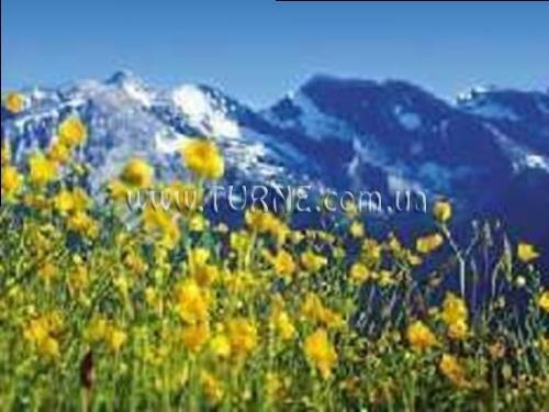 Зображення Postschlossl 3*