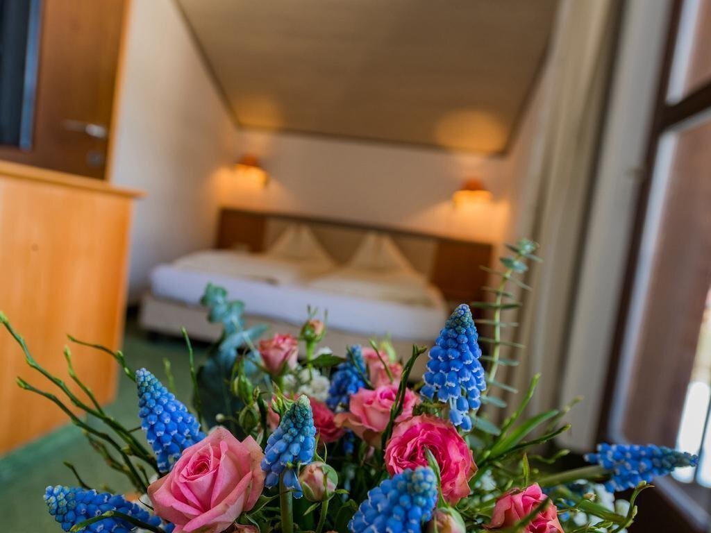 Панорама Happy Stubai Hotel 4*