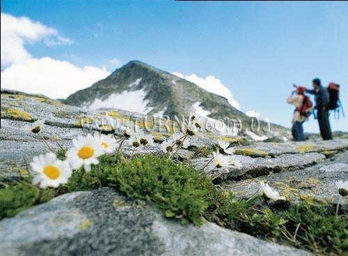 Готель Vier Jahreszeiten 4*