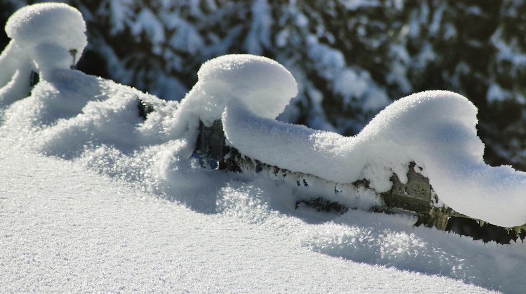 Картинка Tirolerhof 3*