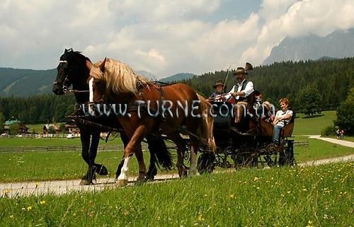 Вид Almfrieden 4*