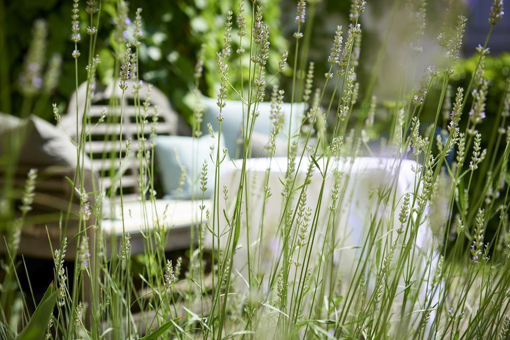 Апартаменты Das Triest 5*