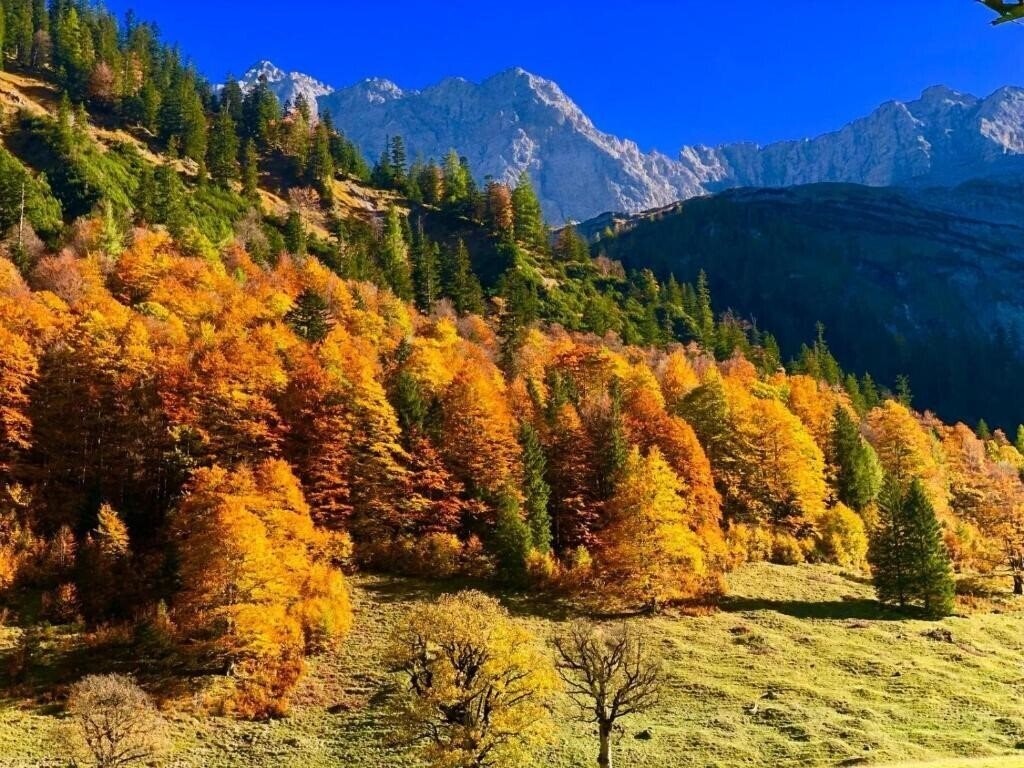 Територія Menthof 3*