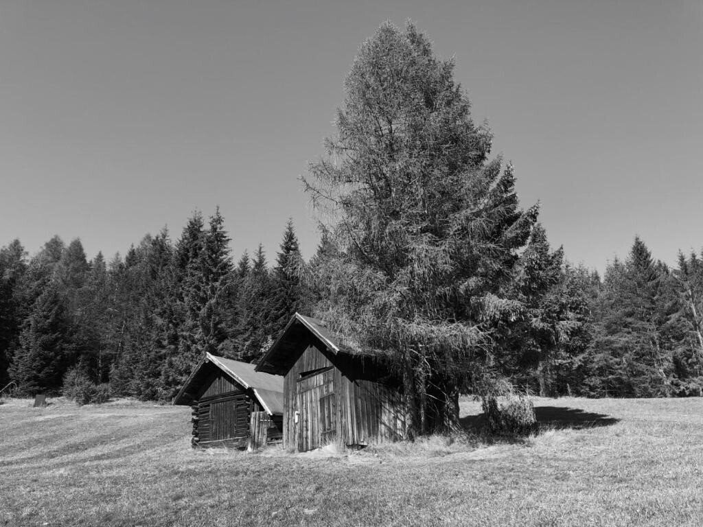 Панорама Menthof 3*