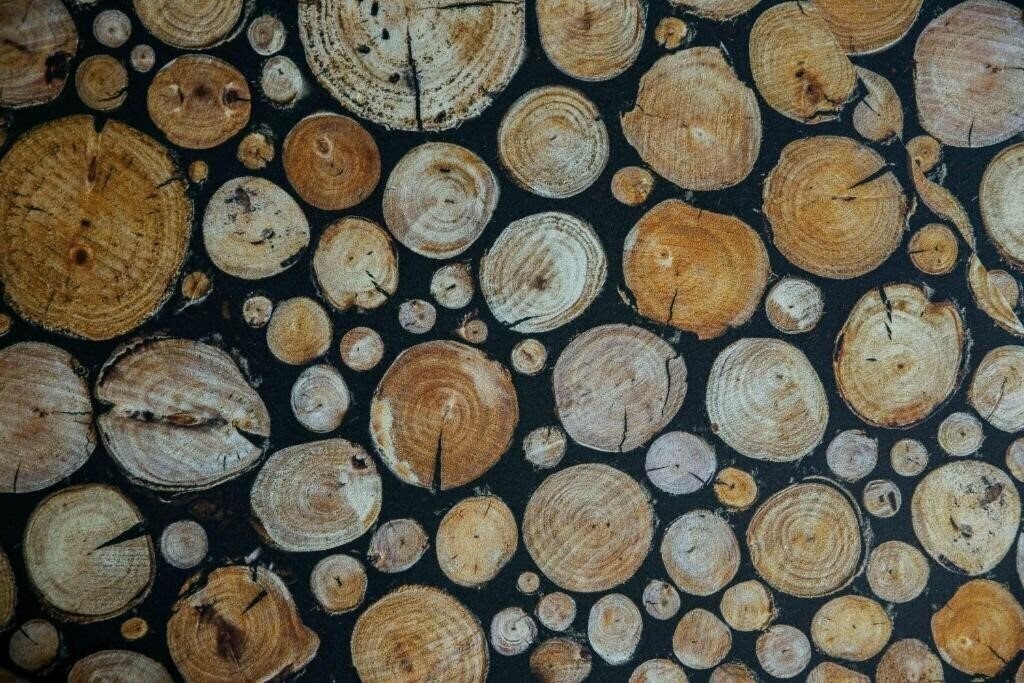 Фотография Yurd Hotel 4*