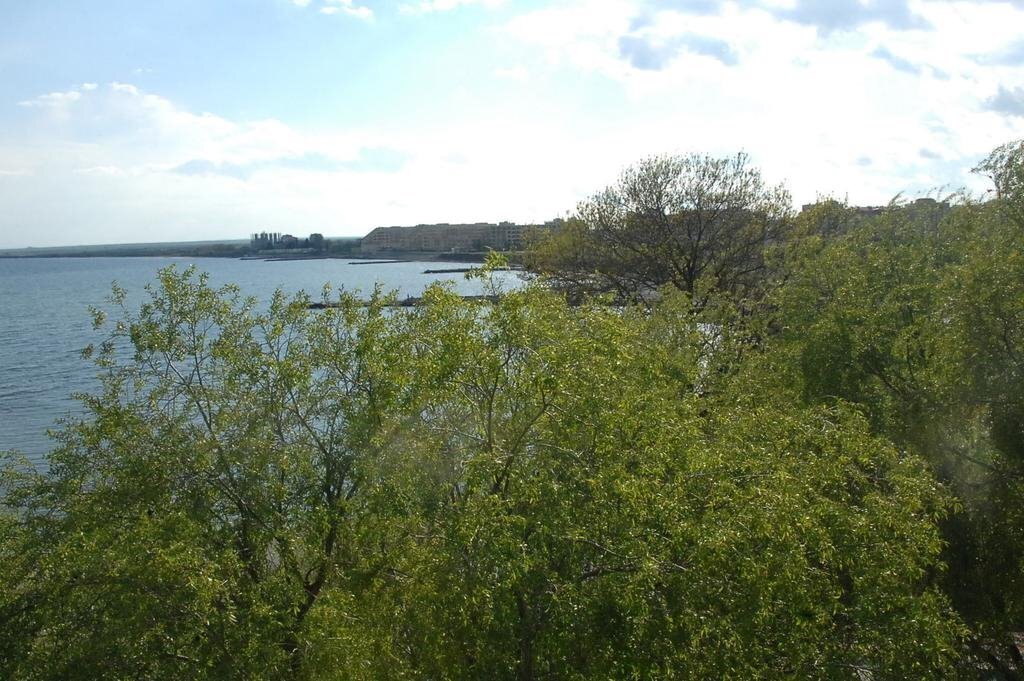 Вид Complex Lipite 2*