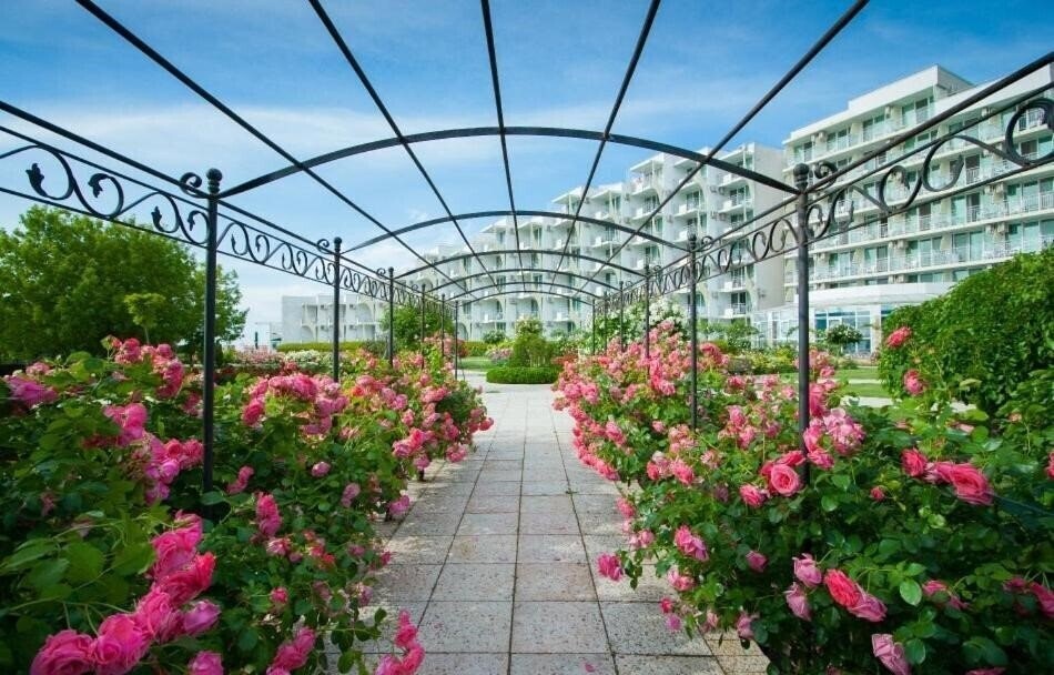 Территория Hotel Laguna Beach 4*