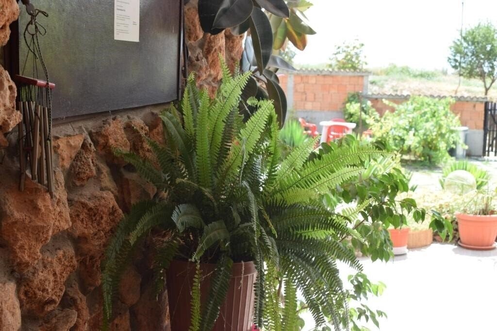 Територія Sunny-Viki 2*