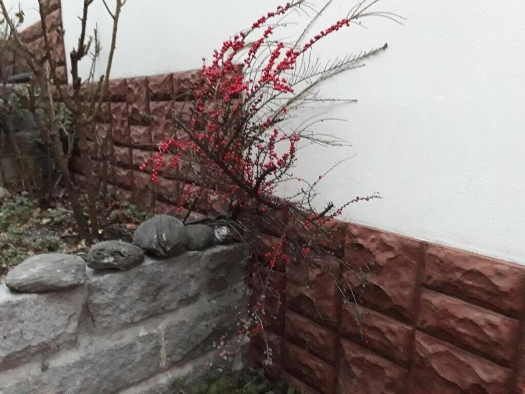 Зображення Ivel 3*