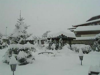 Апартаменти Tanne 4*