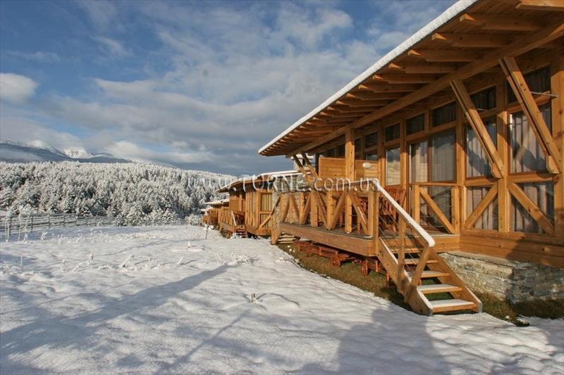 Картинка Катарино Спа 4*