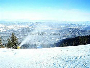 Фотография Forest Star 2*