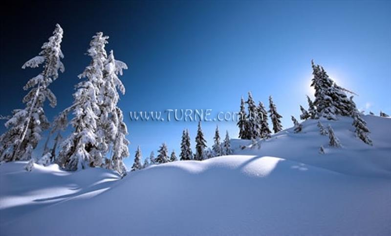 Зображення Chamkoria Chalets (ex. Chamkoria) 4*