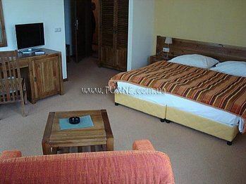 Вид Янакиев 4*