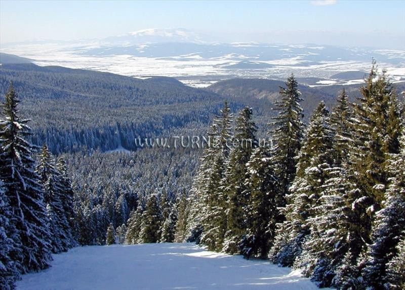 Картинка Rila 4*