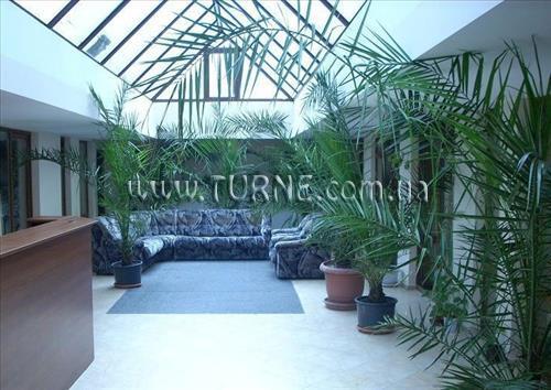 Фотография Flight 2*