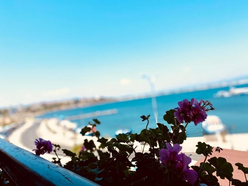 Територія Saint Nikola Hotel 3*