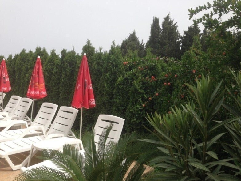 Панорама Desislava & Raikov 3*